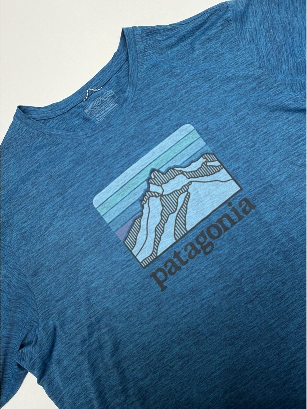 Patagonia Shirt Mens XL Blue Capilene Cool Daily Mountain Graphic Tee